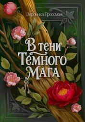 Книга В Тени Темного Мага В Тени Темного Мага