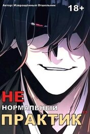 Ненормальный практик 11 (СИ)