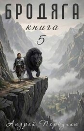 Бродяга. Том 5 (СИ)