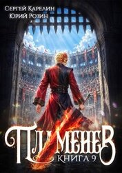Пламенев. Книга IX (СИ)