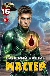 Мастер 15 (СИ)