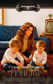 Ревизор: возвращение в СССР 62 (СИ)