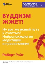 Буддизм жжет! Ну вот же ясный путь к счастью! Нейропсихология медитации и просветления. Роберт Райт.