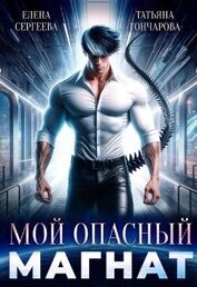 Мой опасный магнат (СИ)