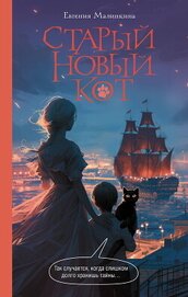 Старый новый кот