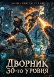 Дворник 30-го уровня. Том 11 (СИ)
